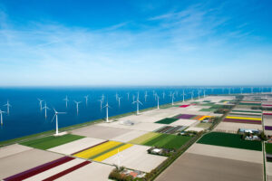 Wind farm NOP Agrowind